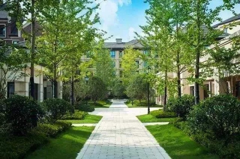 深圳景观设计:打造城市绿肺的美学实践